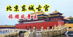 人与兽交配动漫中国北京-东城古宫旅游风景区